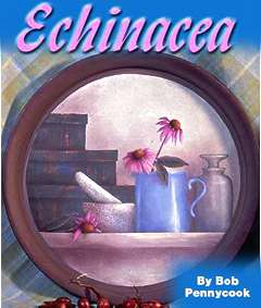 #45 - Summer 2001 - JA55