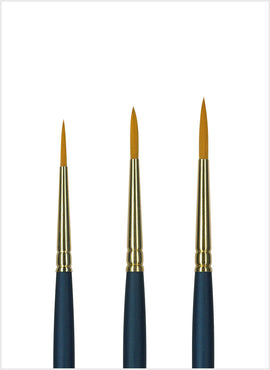 1355 Golden Taklon Detailer - bundle