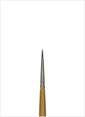 3010 Sableon Round
