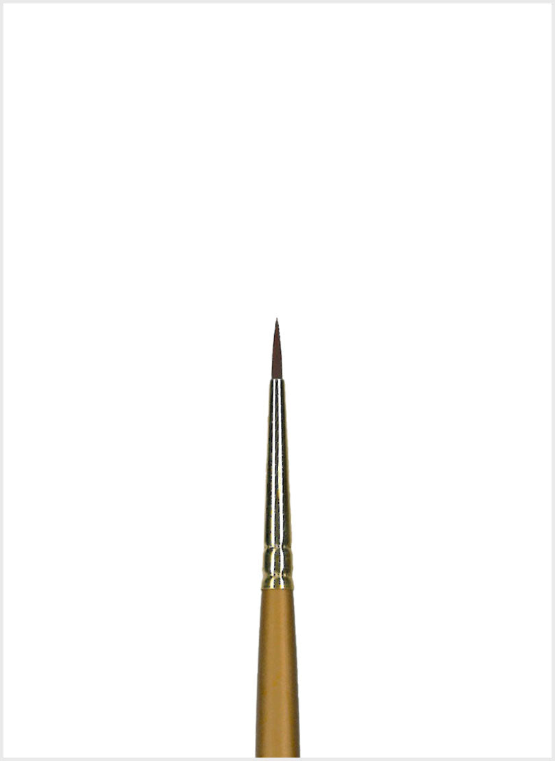 3010 Sableon Round