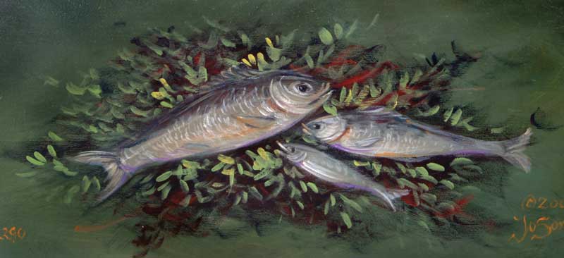 Favorite Pastimes Fishing - JP3074