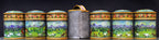 Appenzell Miniature Landscapes - Green Pastures - Online Class