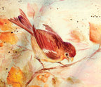 Victoria’s Birdsong - JP3028
