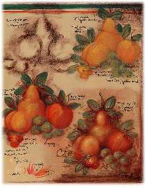 #26 - Fall 1996 - JA36