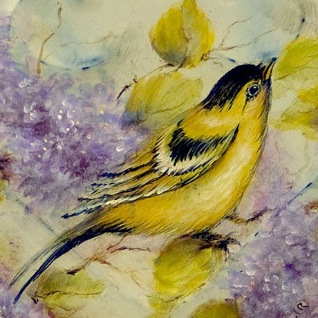 American Goldfinch Amongst the Lilacs - JP3078