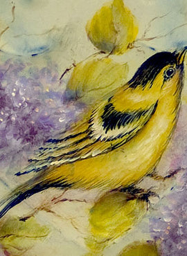 American Goldfinch Amongst the Lilacs - JP3078