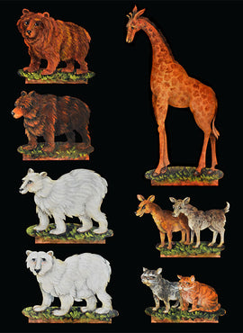 Noah's Ark - Online Class