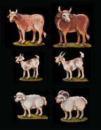Ark - Domestic Animals with Stands - JN100