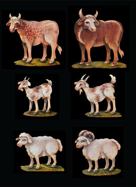 Ark - Domestic Animals with Stands - JN100