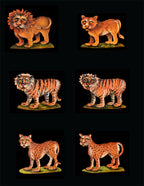 Noah's Ark - Online Class