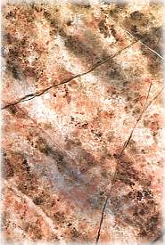 #21 - Summer 1995 - JA31